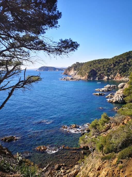 Apartamento Con Piscina L' Ancora Calella De Palafrugell Buitenkant foto