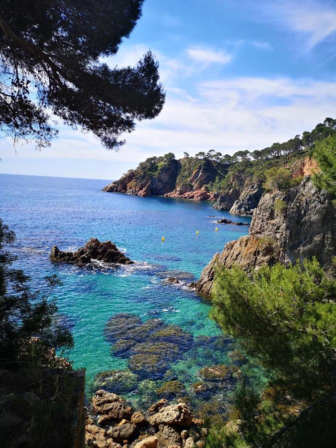 Apartamento Con Piscina L' Ancora Calella De Palafrugell Buitenkant foto